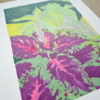 morgane sachetat dessin original œuvre oeuvre originale feutre coleus coléus fleur plante