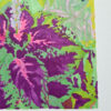 morgane sachetat dessin original œuvre oeuvre originale feutre coleus coléus fleur plante