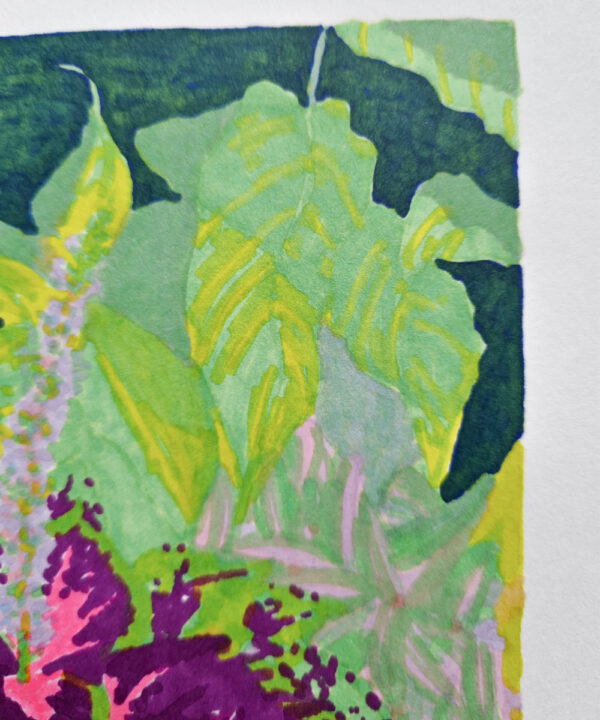 morgane sachetat dessin original œuvre oeuvre originale feutre coleus coléus fleur plante