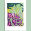 morgane sachetat dessin original œuvre oeuvre originale feutre coleus coléus fleur plante fond vert