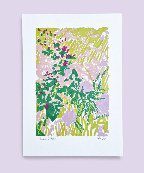 morgane sachetat dessin oeuvre œuvre feutre plante herbes besançon doubs fond lilas