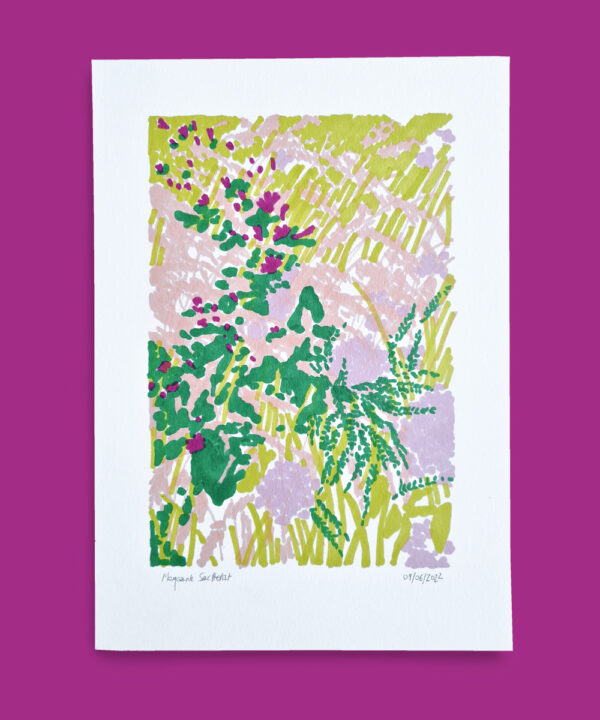 morgane sachetat dessin oeuvre œuvre feutre plante herbes besançon doubs fond violet rose
