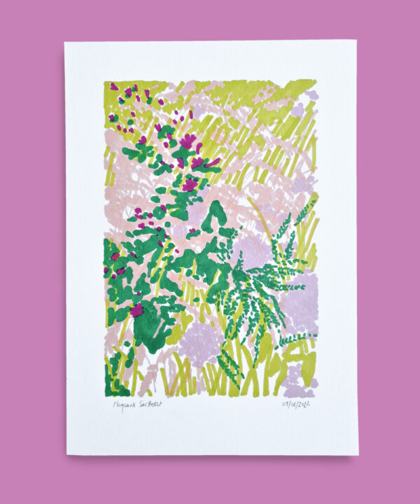 morgane sachetat dessin oeuvre œuvre feutre plante herbes besançon doubs fond violet