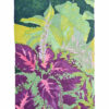 morgane sachetat dessin original œuvre oeuvre originale feutre coleus coléus fleur plante